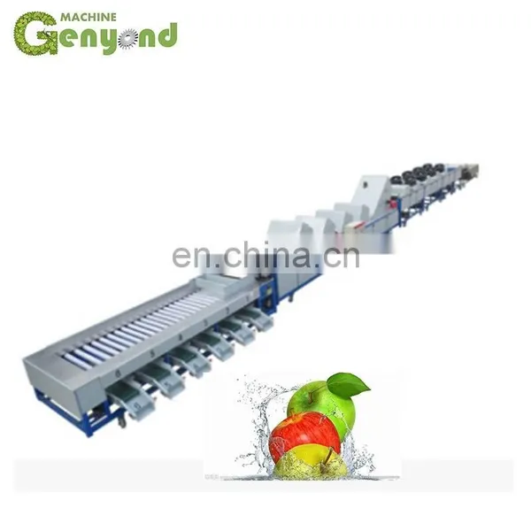 Kumquat/orange/lemon Fruit Washing Waxing Drying Sorting Machine, Fruit Farm Equiment Orange photo-5
