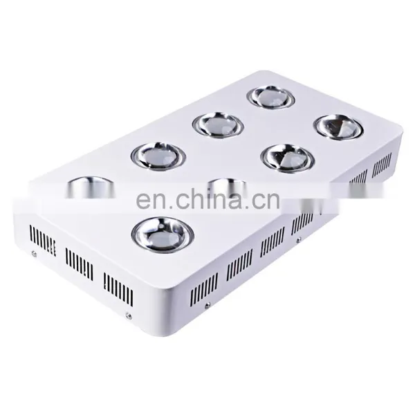 Double Switch High Power 2400W COB LED Plant Grow Light Full Spectrum Using Optic Lens High Lumen photo-3
