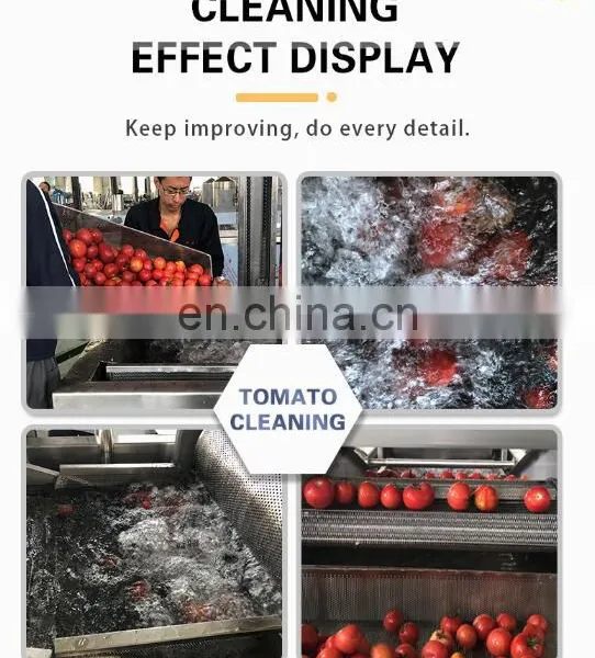 Industrial Vegetable Cleaning Machine Vegetable and Fruit Washing Machine photo-3