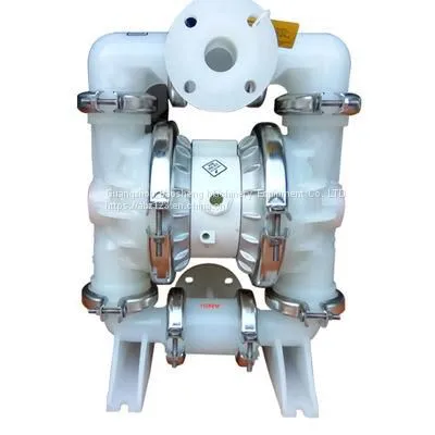 WILDEN Pneumatic Diaphragm Pump Wilden Pneumatic Diaphragm Pump