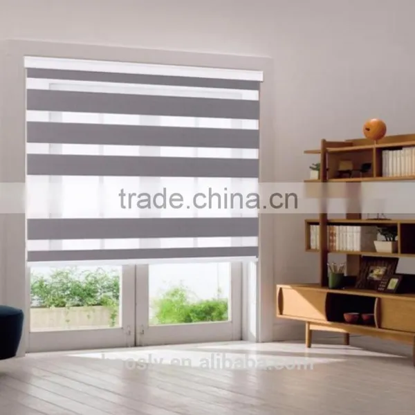 Most Popular Selling Motorized Dual Roller Zebra Blind With Best Price photo-2