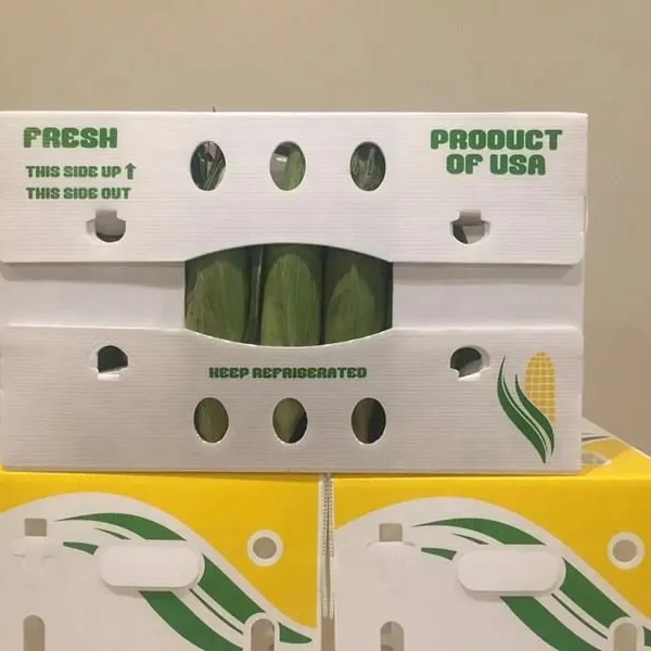 PP Corrugated Plastic BOX Corflute Correx Okra Box for Agriculture Vegetable Box photo-4