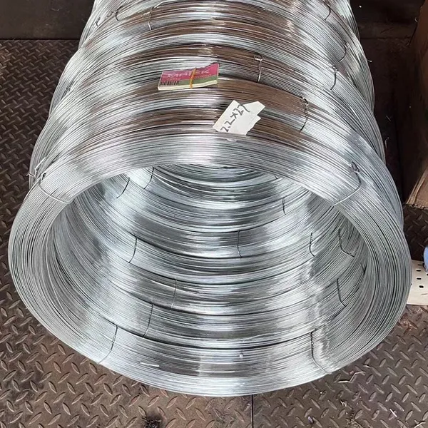 High Quality Low Carbon Steel Binding Wire Gi Hot Dip Galvanized Wire for Bird Cage