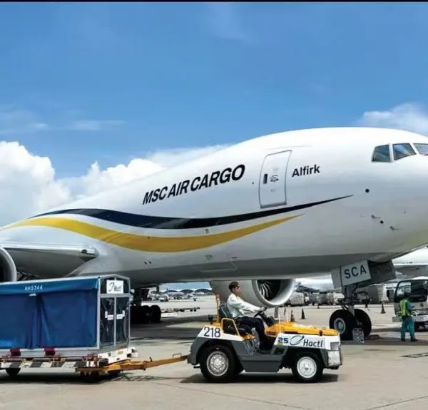 Air Freight/Freight Forwarding/China Import and Export photo-5