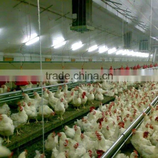 Light Steel Prefab Farm House for Chicken photo-2