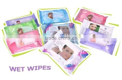 Wet Wipes, Lady Cleaning Wet Wipes