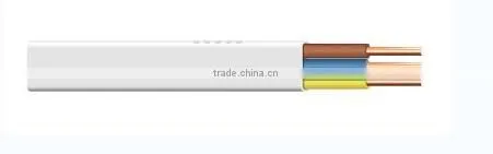 BVVB 2mm 4mm Electrical Wire for Sale photo-3