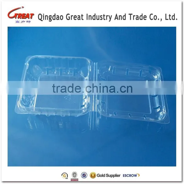 Good Quality Disposable Plastic Blueberry Fruit Packaging Container 125Gram photo-4