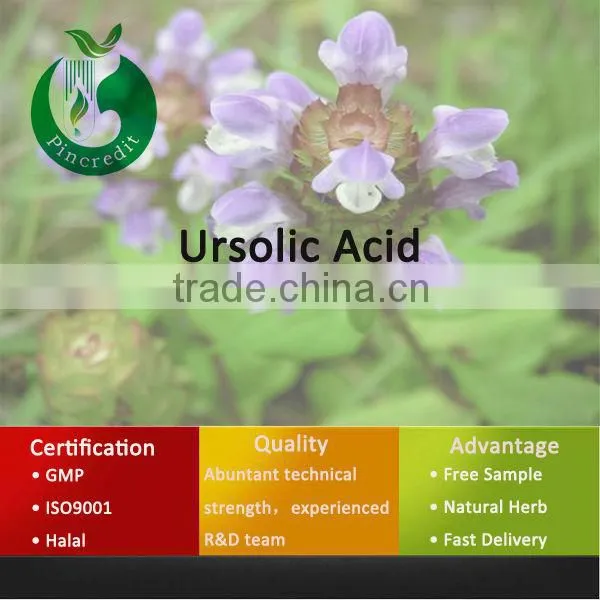 100% Natural Ursolic Acid/Low Price Ursolic Acid