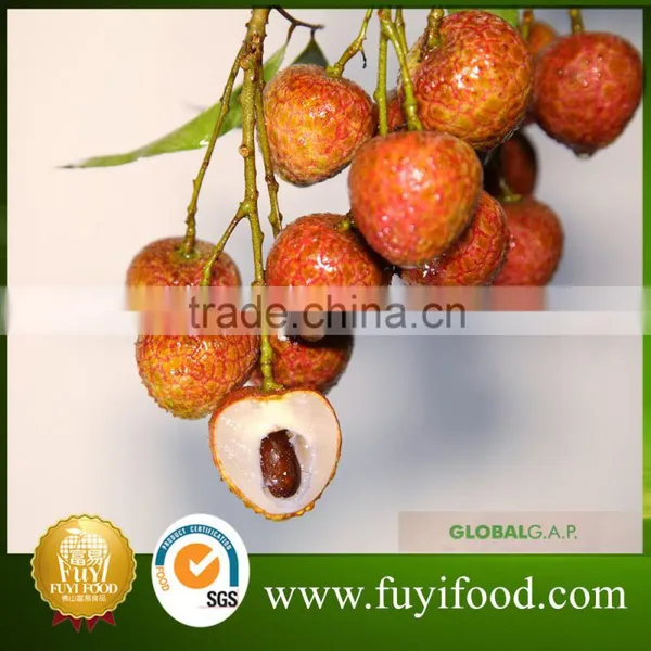 Fresh Fruits and Vegetables Litchi /litchi Fruit/fresh Lychee Not Canned