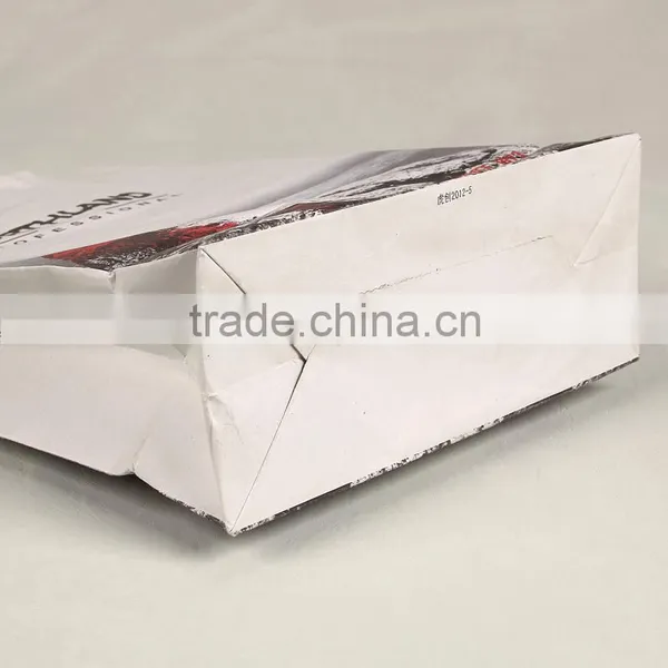 Custom Scarf Paper Packaging Bags With Twisted Rope Craft Paper Bag for Clothing Paper Bag for Gloves photo-4