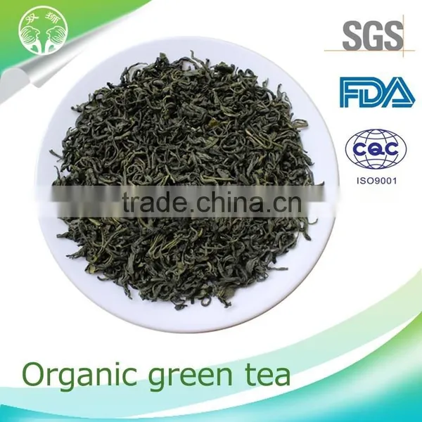 OEM and ODM Free Sample Organic Green Tea From Chiesee Tea Factory