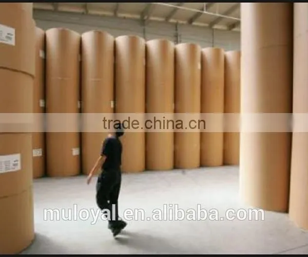 C2S Two Sides Coated Glossy Art Paper Roll 200gsm photo-4