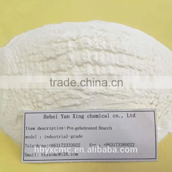 Great Sales White Powder Pre-gelatinized Starch photo-2