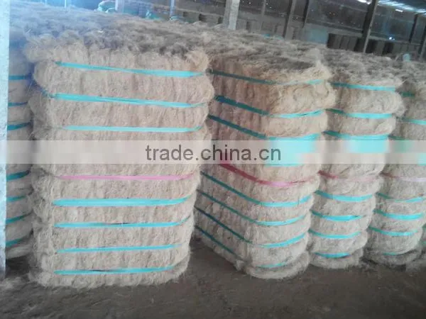Viet Nam Coconut Fiber