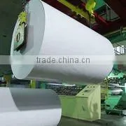 PE Coated Paper photo-3