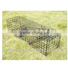 Single Door Squirrel Cage Trap