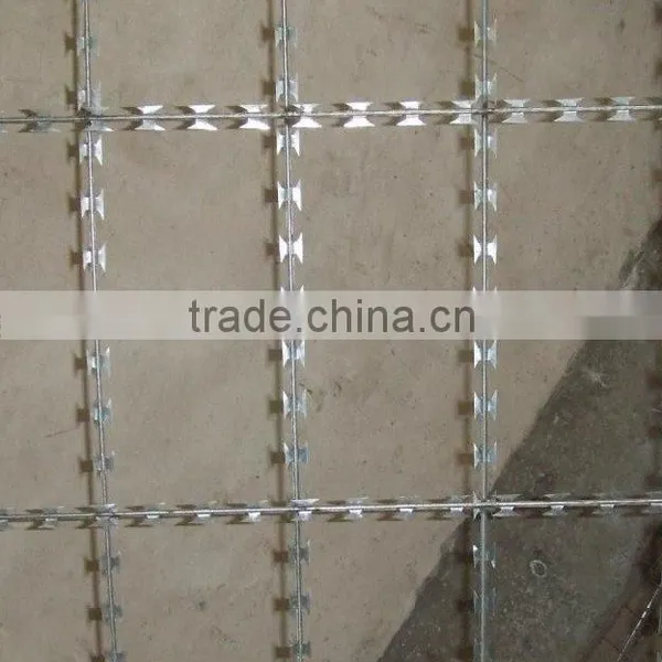2016 Hot Sale High Quality Blade Barbed Wire photo-4