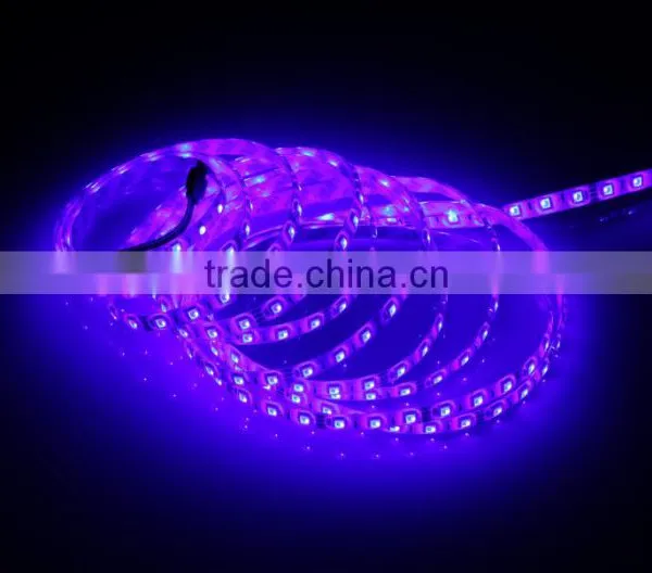 Home Hotel KTV Bar Decorative Colorful 5050SMD IP65 Waterproof RGB Flexible LED Strip Light photo-3