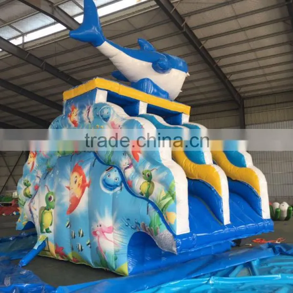 Jumping Castles Inflatable Water Slide,inflatable Vagina Slide photo-5