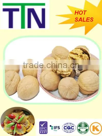 TTN Wholesale Buy Shelled Walnuts for Sell photo-2