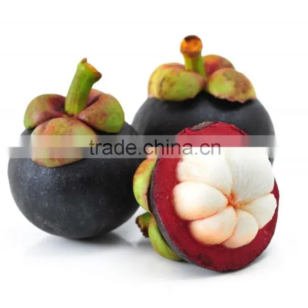 Mangosteen