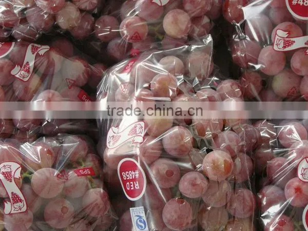 Crimson Grapes Supplier for Canada Market photo-4