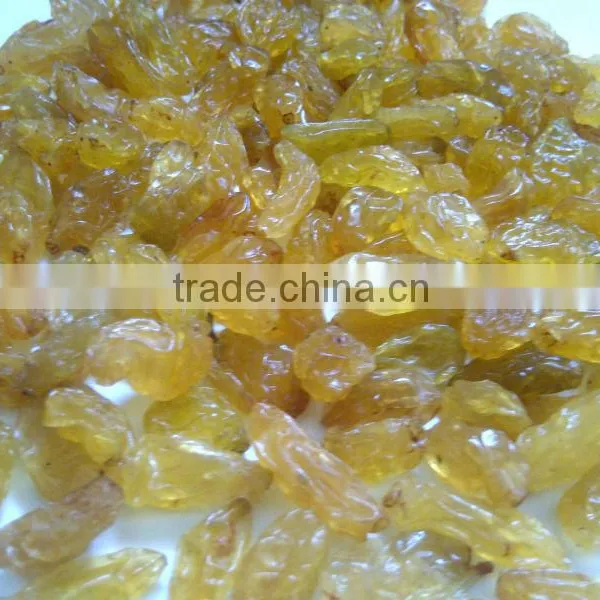 Raisin photo-3