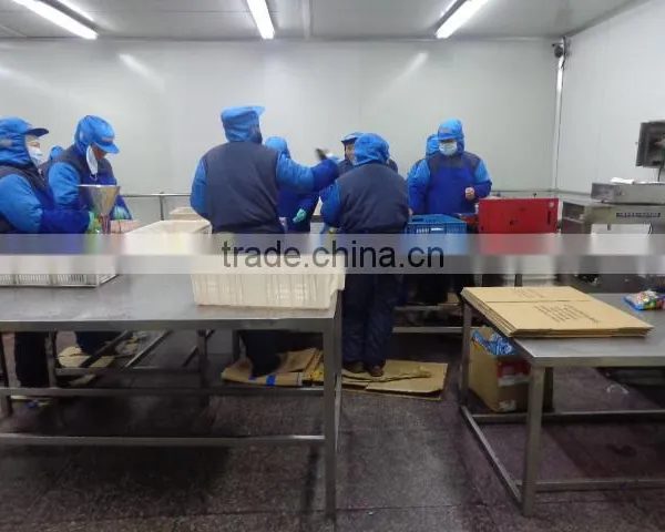 High Quality Freezing Process Frozen IQF Broccoli Florets photo-4