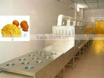 Full Automatic Egg Tray Conveyor Belt Microwave Dryer Machine photo-2