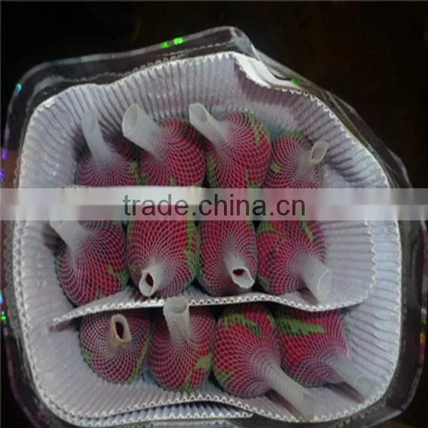 High Grade Fresh Cut Flowers Rose Wholesale From Flower Planting Base photo-5