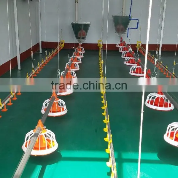 Huabang Poultry Chicken Equipment,automatic Chicken | Broiler Feeder photo-2