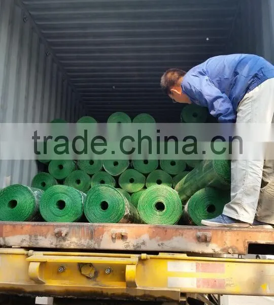 Hot Sale!!! Galvanized Welded Wire Mesh Fence Mesh/ Stainless Welded Wire Mesh Price/ 12 Gauge Welded Wire Mesh photo-4