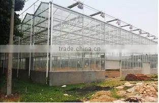 Polycarbonate Greenhouse photo-6