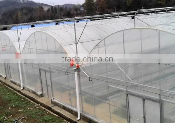 Hot Sale Multi Span Farm Machinery Greenhouse photo-2