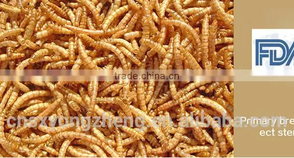 Bird Health Organic Food 2.8 cm Dried Mealworms photo-2