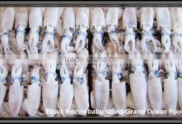 Hot Sale Whole Round Frozen Baby Squid photo-2