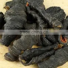 Dried Sea Cucumber photo-3