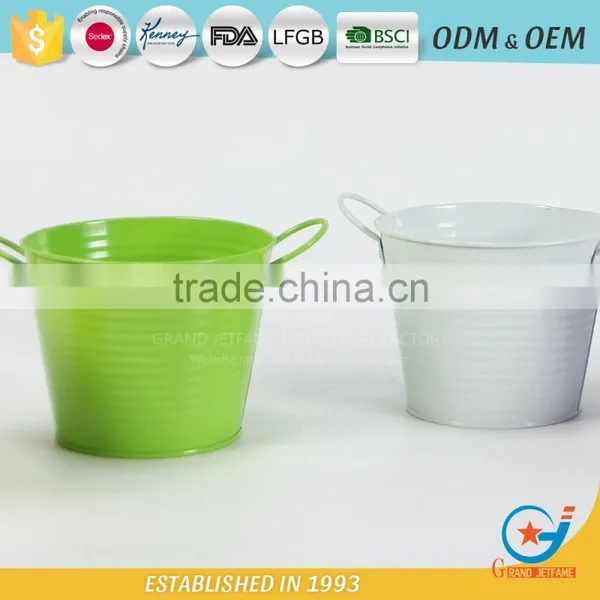 Powder Coated Unique Iron and Zinc Garden Embossing Watering Flowers in Pots Decorative Outdoor Pots Rose Flower Pot photo-6
