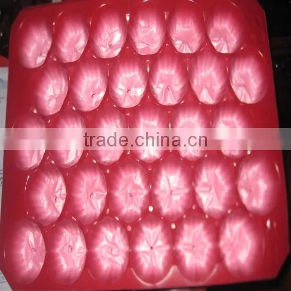 Popular Whole Kroger PP Plastic Fruit and Vegetable Display Trays photo-5