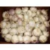 Garlic,fresh Garlic,garlic Supplier,Chinese Garlic photo-3