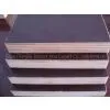 GIGA- Best Price for Concrete Formwork Plywood/film Faced Plywood photo-3