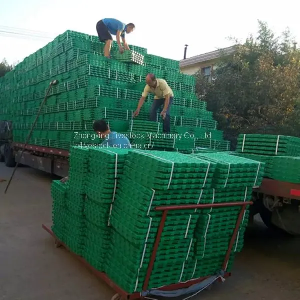 Plastic Slat Floor for Goat photo-2