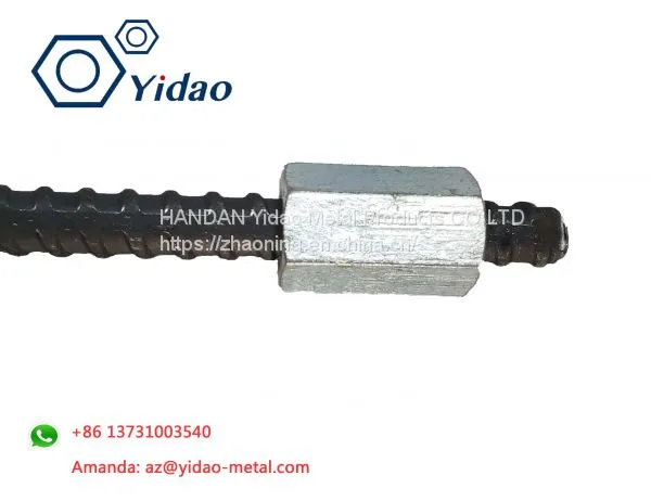 Formwork Accessory Hex Tie Nut for Construction Formwork Tie System photo-5