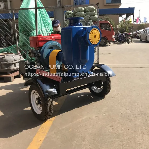 Agriculture Irrigation Pump Good Quanlity photo-3