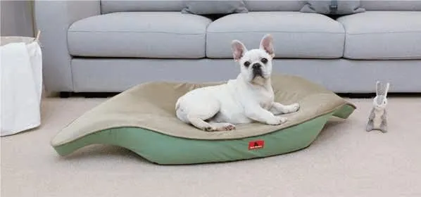 Leaf Shape Creative Pet Bed