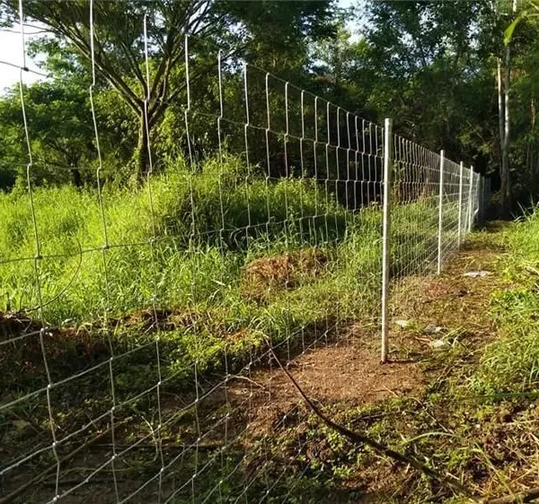 Load-Bearing Galvanized Cattle Panels - Durable Australia Standard Farm Equipment photo-5