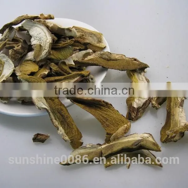 Dried Boletus Mushroom photo-4