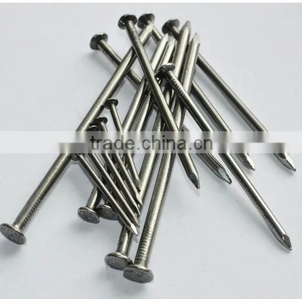 Common Round Iron Wire Nails Factory/Common Nail photo-3