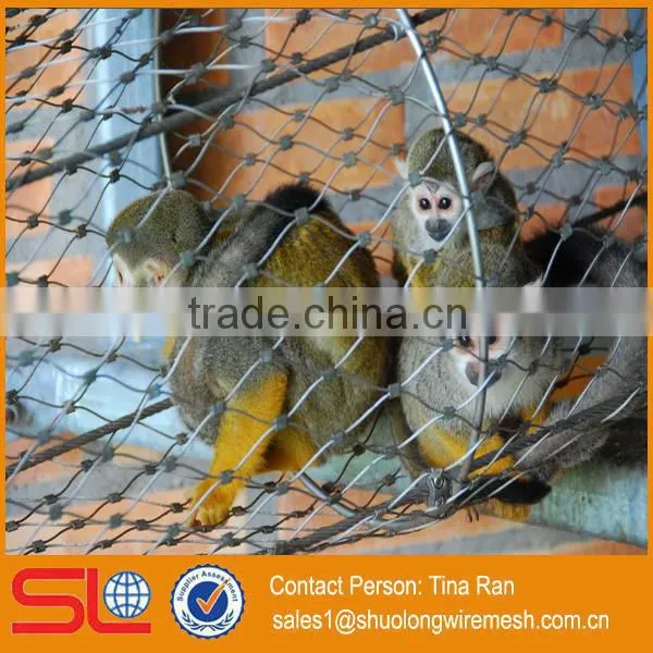 ISO Manufactory Provide Fast Delivery Time Stainless Steel Mesh Aviary Mesh photo-2